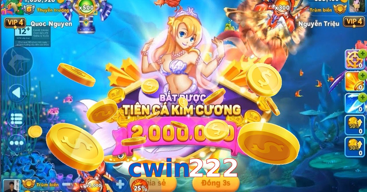 cwin222