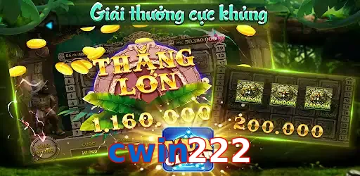 cwin222